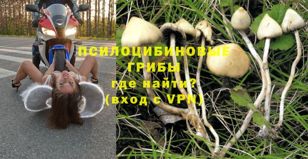 ALPHA PVP Дмитровск