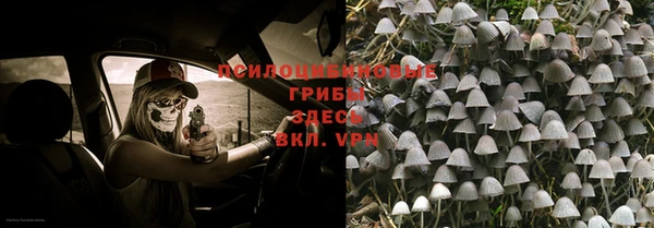 дурь Новокубанск